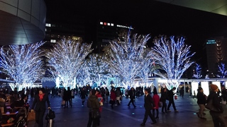 博多駅 クリスマスイルミネーション
