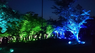 常盤公園 呼応する森3